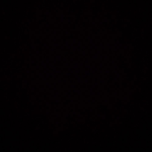 欧洲美女与动交CCOO
